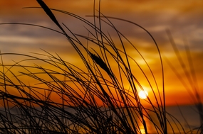 唯美非主流夕阳西下摄影图片